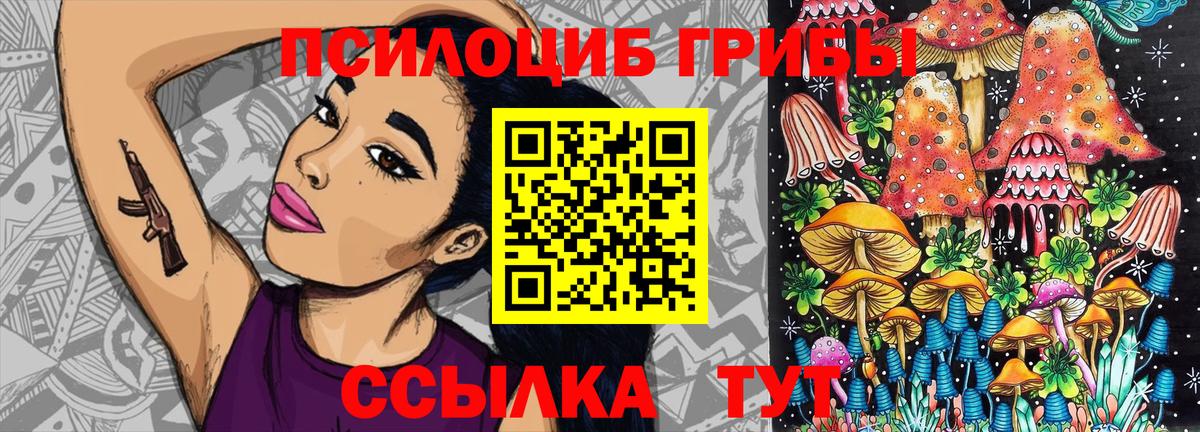 Псилоцибиновые грибы мицелий Дубна