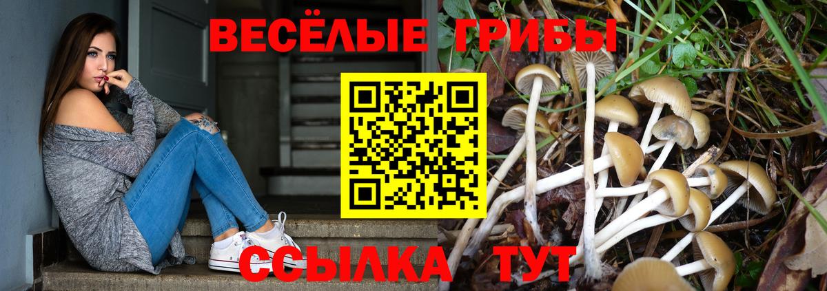 Галлюциногенные грибы Psilocybe  Вход с VPN  Дубна 